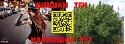 мдпв Протвино