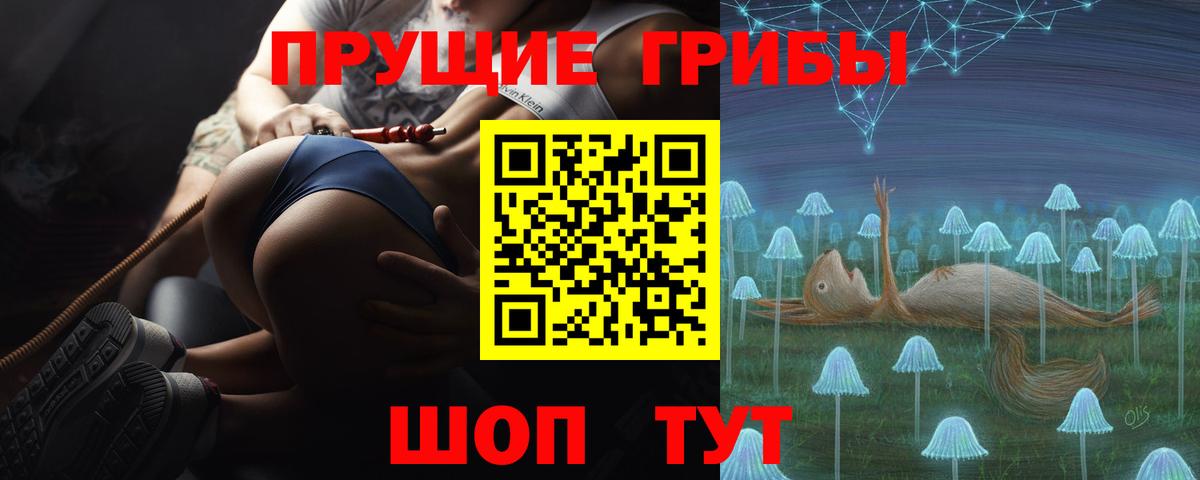 Галлюциногенные грибы прущие грибы Иваново